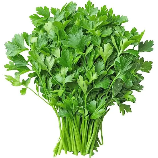 香菜